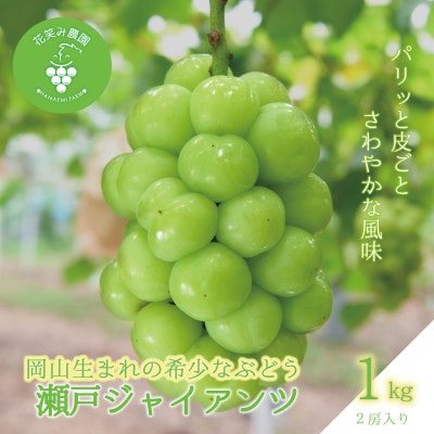 岡山　花笑み農園のブドウ『瀬戸ジャイアンツ』1kg(2房)　G-1【9月下旬～順次発送】