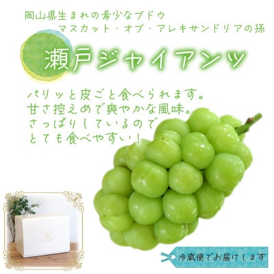 岡山　花笑み農園のブドウ『瀬戸ジャイアンツ』1kg(2房)　G-1【9月下旬～順次発送】