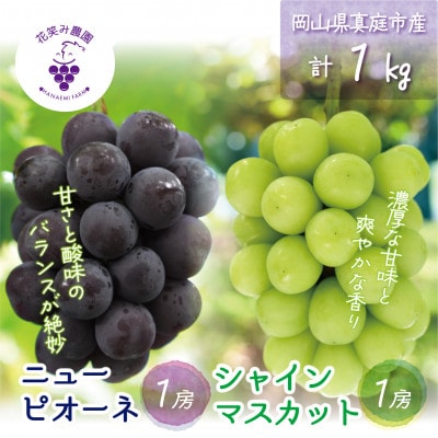 【2026年先行受付】岡山　花笑み農園の『ニューピオーネ&シャインマスカット』1kg(2房)PS-1