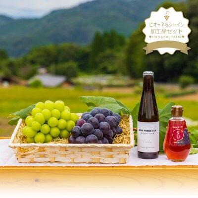 岡山　花笑み農園の『ピオーネ&シャインマスカット&果実の飲む酢ピオーネ&ピオーネエール』PS-NA