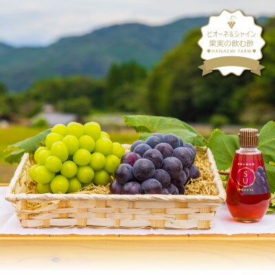 岡山　花笑み農園の『ピオーネ&シャインマスカット&果実の飲む酢ピオーネ』PS-N