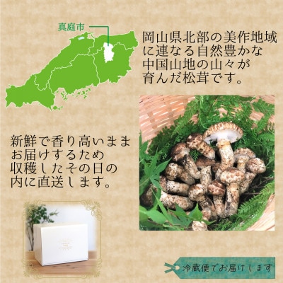 花笑み農園　岡山県産　訳あり『松茸』200g(2～6本)