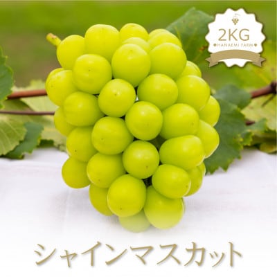 岡山　花笑み農園のブドウ『シャインマスカット』約2kg(3～4房)S-2