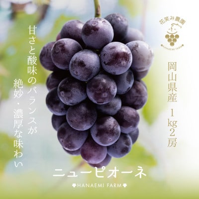 【岡山県産】花笑み農園『ニューピオーネ』1kg(2房) P-1 【9月上旬~順次発送】