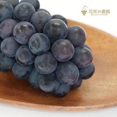 【岡山県産】花笑み農園の『ニューピオーネ』約2kg(3～4房)　P-2【9月上旬～順次発送】