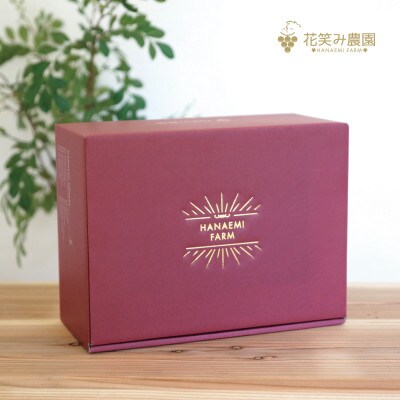 【岡山県産】花笑み農園の『ニューピオーネ』約2kg(3～4房)　P-2【9月上旬～順次発送】
