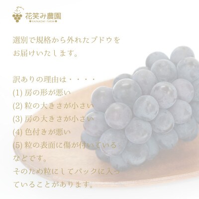 【岡山県産】花笑み農園の 『訳ありニューピオーネ』1kg　WP-1