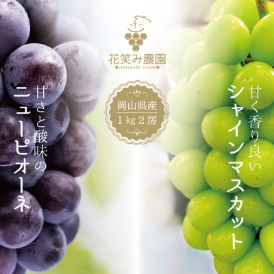 【岡山県産】花笑み農園の『ニューピオーネ&シャインマスカット』1kg　PS-1　9月中旬～順次発送