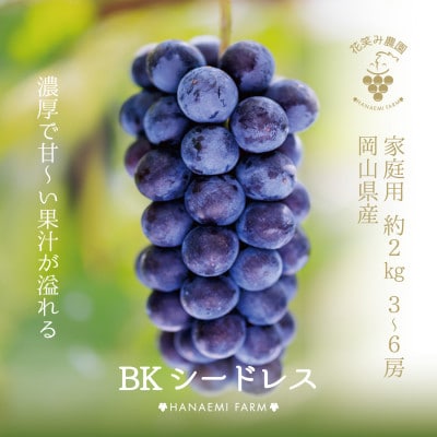 【岡山県産】花笑み農園の『BKシードレス』約2kg家庭用(3～6房)　B-2家【9月中旬～順次発送】