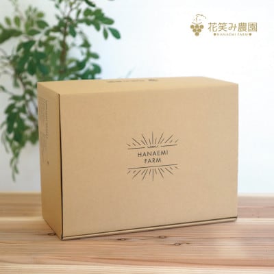【岡山県産】花笑み農園の『BKシードレス』約2kg家庭用(3～6房)　B-2家【9月中旬～順次発送】