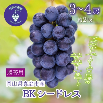 【2026年先行受付】岡山　花笑み農園の『BKシードレス』贈答用　約2kg(3～4房)　B-2上