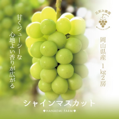 【岡山県産】花笑み農園 の『シャインマスカット』1kg(2房)　S-1　9月下旬～順次発送
