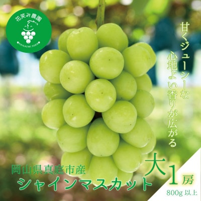 岡山　花笑み農園 の『シャインマスカット』800g以上(大1房)　S-大1　【9月下旬～順次発送】