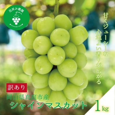 岡山　花笑み農園の 『訳ありシャインマスカット』1kg　WS-1【9月中旬～順次発送】