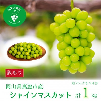 【2026年先行受付】岡山　花笑み農園の 『訳ありシャインマスカット』1kg　WS-1