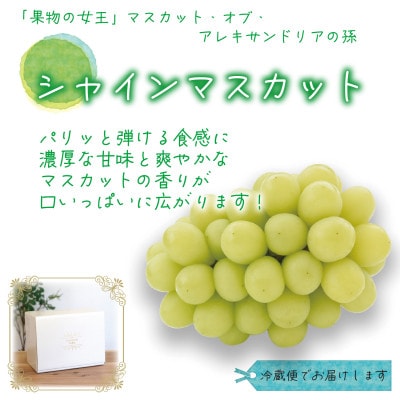 岡山　花笑み農園の 『訳ありシャインマスカット』1kg　WS-1【9月中旬～順次発送】