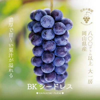 【岡山県産】花笑み農園の『BKシードレス』800g以上(大1房)　B-大1【9月中旬～順次発送】