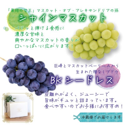 岡山　花笑み農園『シャインマスカット&BKシードレス』1kg(2房)BS-1　【9月下旬～順次発送】
