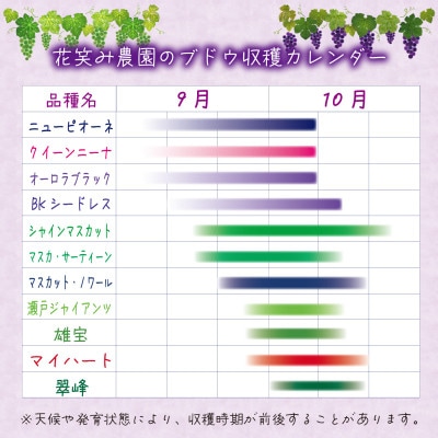 岡山　花笑み農園の『シャインマスカット&BKシードレス』贈答用　約2kg　BS-2上　9月下旬～発送