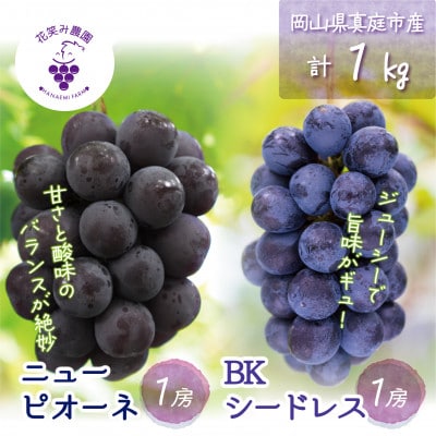 【2026年先行受付】岡山　花笑み農園の『ニューピオーネ&BKシードレス』1kg(2房)　PB-1