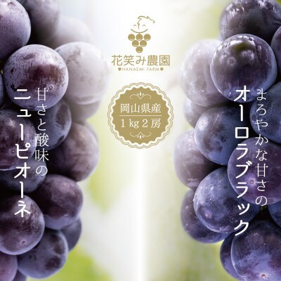 岡山県産　花笑み農園の『ニューピオーネ&オーロラブラック』1kg(2房)PA-1　9月上旬～順次発送