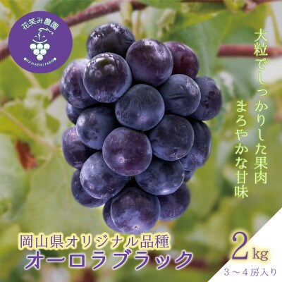 岡山　花笑み農園の『オーロラブラック』約2kg(3～4房)　A-2【9月上旬～順次発送】