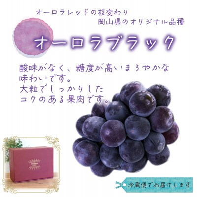 岡山　花笑み農園の『オーロラブラック』約2kg(3～4房)　A-2【9月上旬～順次発送】