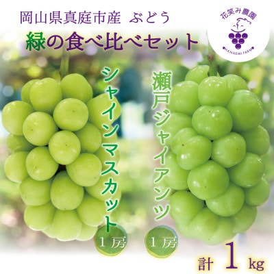 岡山　花笑み農園の『シャインマスカット&瀬戸ジャイアンツ』1kg(2房)　GS-1