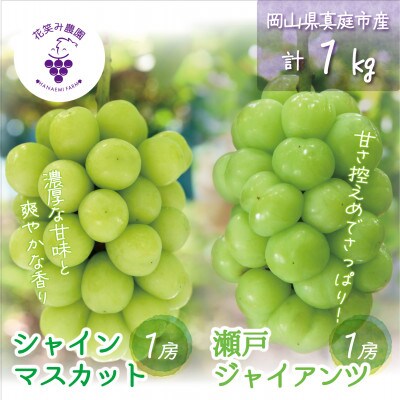【2026年先行受付】岡山　花笑み農園の『シャインマスカット&瀬戸ジャイアンツ』1kg(2房)　GS