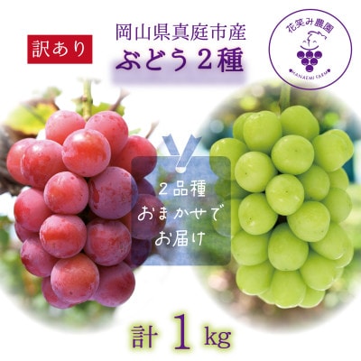 岡山　花笑み農園の『訳あり2種MIX』ブドウ1kg　W2M-1【9月中旬～順次発送】
