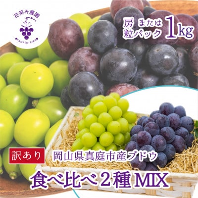 【2026年先行受付】岡山　花笑み農園のブドウ『訳あり2種MIX』1kg　W2M-1
