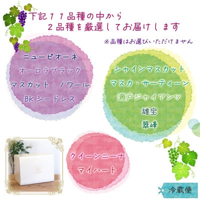 岡山　花笑み農園の『訳あり2種MIX』ブドウ1kg　W2M-1【9月中旬～順次発送】