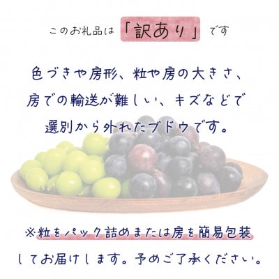 【2026年先行受付】岡山　花笑み農園のブドウ『訳あり2種MIX』1kg　W2M-1