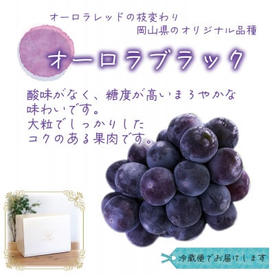 岡山　花笑み農園の『オーロラブラック』1kg(2房)　A-1【9月上旬～順次発送】