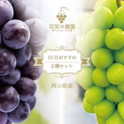【岡山県産】花笑み農園のブドウ『10月おすすめ 2種セット』(2房)　2M-1L【10月～順次発送】