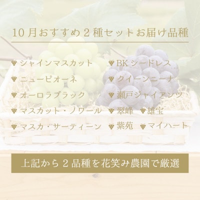 【岡山県産】花笑み農園のブドウ『10月おすすめ 2種セット』(2房)　2M-1L【10月～順次発送】