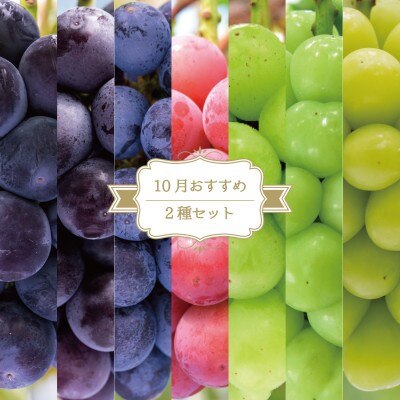【岡山県産】花笑み農園のブドウ『10月おすすめ 2種セット』(2房)　2M-1L【10月～順次発送】