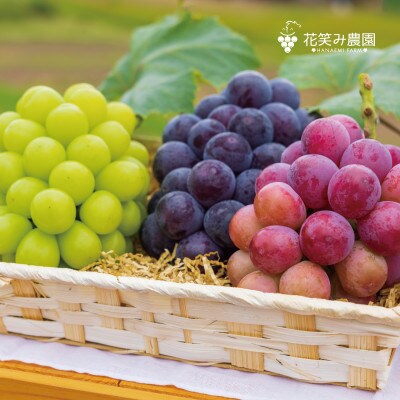 【岡山県産】花笑み農園のブドウ『10月おすすめ3種』約2kg(3房)　3M-2L【10月～順次発送】