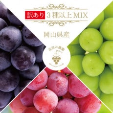 【岡山県産】花笑み農園のブドウ『訳あり3種以上MIX』 1kg　W3M-1【9月中旬～順次発送】