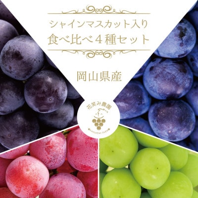【岡山県産】花笑み農園のブドウ『食べ比べ4種セット』シャインマスカット入り　2kg(4房) 4M-2