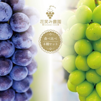 【岡山県産】花笑み農園のブドウ『食べ比べ4種セット』シャインマスカット入り　2kg(4房) 4M-2