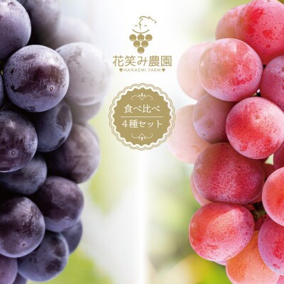 【岡山県産】花笑み農園のブドウ『食べ比べ4種セット』シャインマスカット入り　2kg(4房) 4M-2