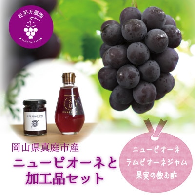 岡山　花笑み農園の『ニューピオーネ&ラムピオーネジャム&飲む酢』ピオーネと加工品セット　P-JN