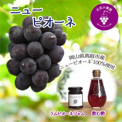 【2026年先行受付】岡山　花笑み農園の『ニューピオーネ&ラムピオーネジャム&飲む酢』P-JN
