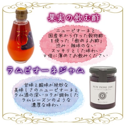 岡山　花笑み農園の『ニューピオーネ&ラムピオーネジャム&飲む酢』ピオーネと加工品セット　P-JN
