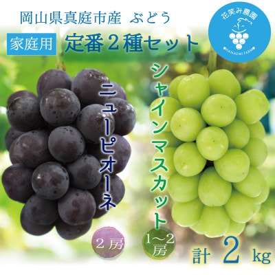 岡山　花笑み農園『ニューピオーネ&シャインマスカット』家庭用　約2kg　PS-2　9月中旬～順次発送