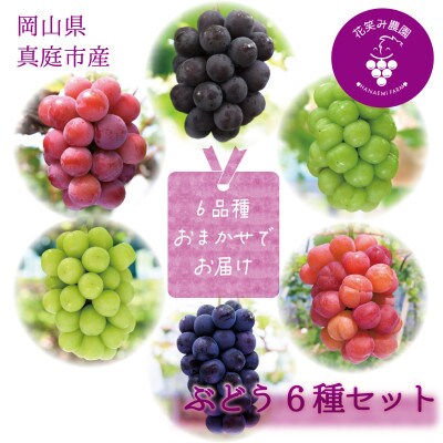 岡山　花笑み農園のブドウ『食べ比べ6種セット』　6M-5　【9月下旬～順次発送】