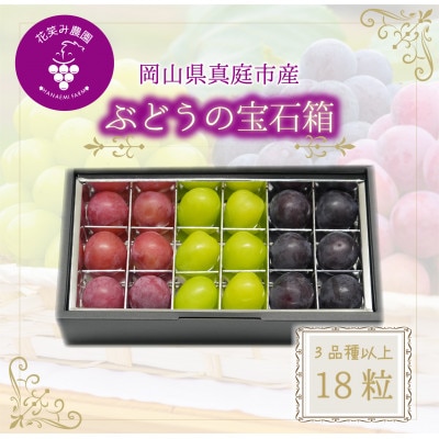 【2026年先行受付】岡山　花笑み農園『ブドウの宝石箱』3種以上(18粒入り)　3M-宝18