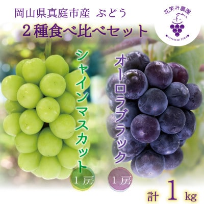 岡山　花笑み農園の『オーロラブラック&シャインマスカット』1kg　AS-1　【9月中旬～順次発送】