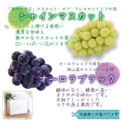 岡山　花笑み農園の『オーロラブラック&シャインマスカット』1kg　AS-1　【9月中旬～順次発送】